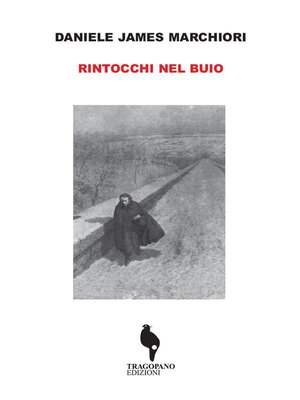 cover image of Rintocchi nel buio